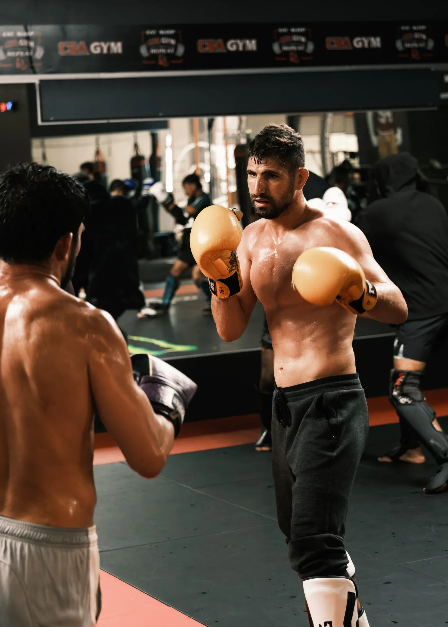 Fighters and athletes, frame 2